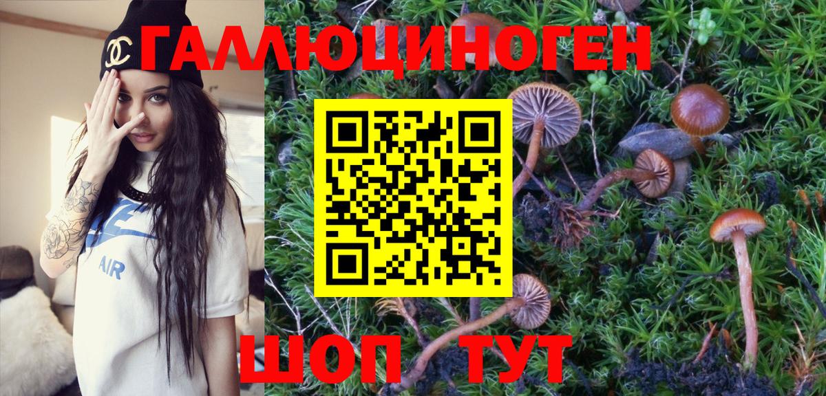 Галлюциногенные грибы Psilocybe  Вход с VPN  Ишим 