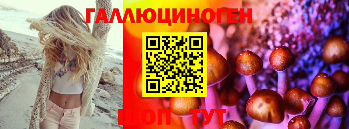 Галлюциногенные грибы Psilocybine cubensis Ишим